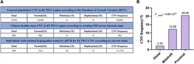 Novel evidence of CNV deletion in KCTD13 related to the severity of isolated hypospadias in Chinese population